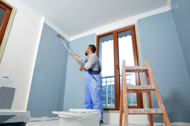 Best Fire-Damaged Drywall Repair  in Broad Creek, NC