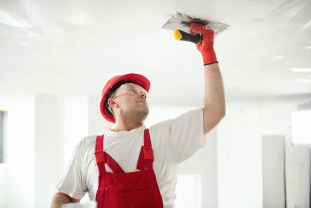 Best Ceiling Drywall Installation  in Broad Creek, NC