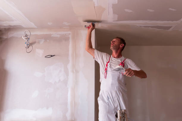 Best Drywall Installation  in Broad Creek, NC